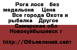 Рога лося , без медальона. › Цена ­ 15 000 - Все города Охота и рыбалка » Другое   . Самарская обл.,Новокуйбышевск г.